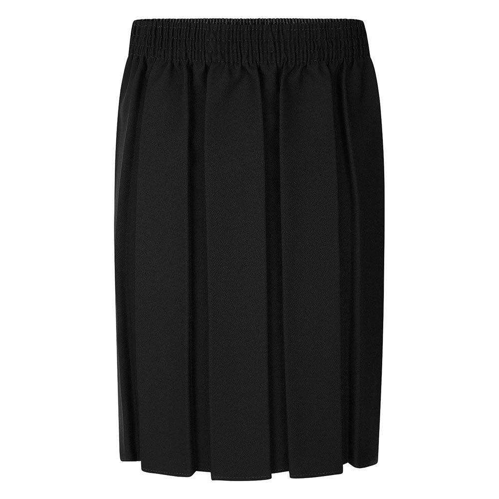 Black Boxpleat Skirt