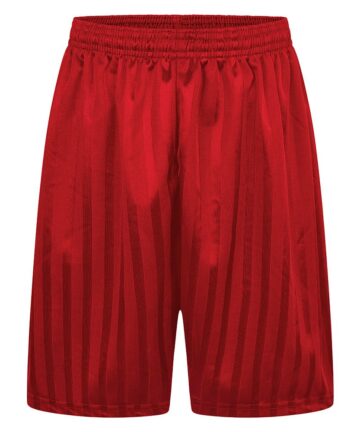 Maroon Shadow Stripe PE Shorts