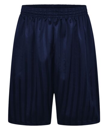 Navy Shadow Stripes PE Shorts
