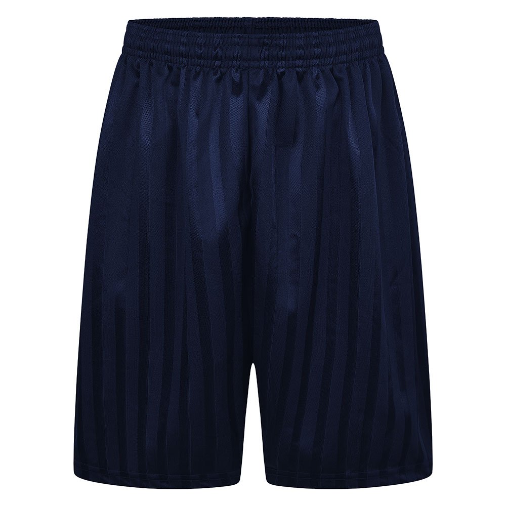 Navy Shadow Stripe Shorts