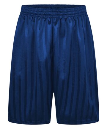 Royal Blue Shadow Stripe PE Shorts